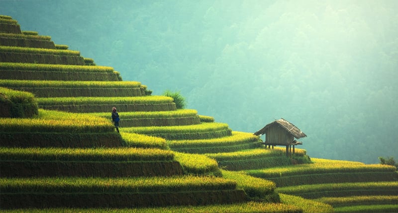 Sustainable Branding